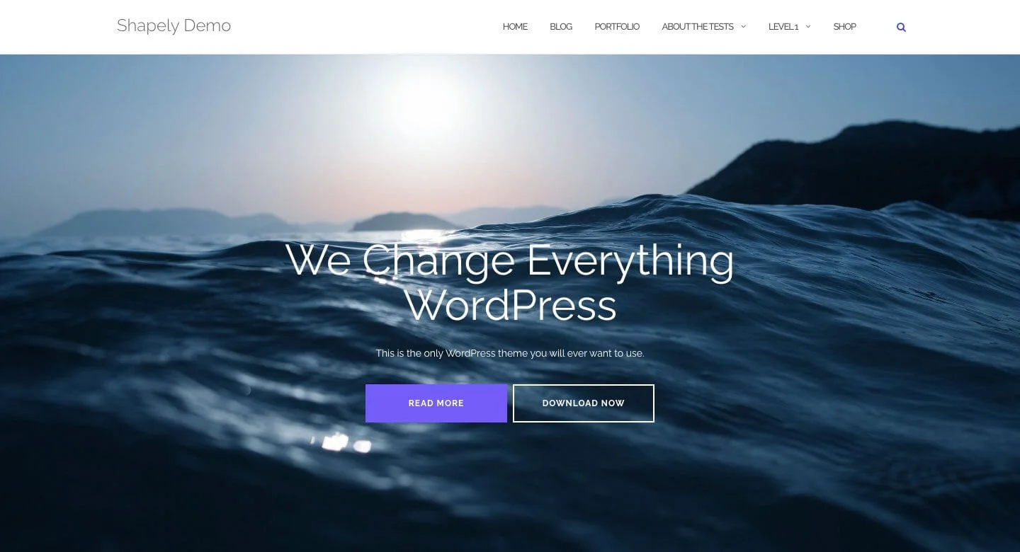 Shapely Theme - Verwendung von Bootstrap in WordPress - Einsteigerleitfaden für WordPress-Website-Design WordPress-Website-Pflege WordPress-Website