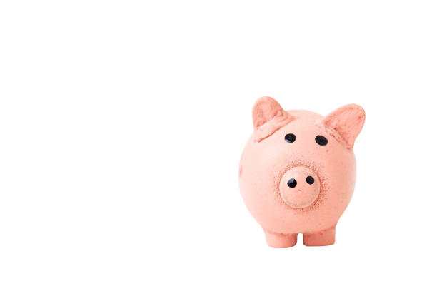 Discount Website creation discountwebsite maintenance discount -25%savings_malacpersely WebServe discount, savings popup